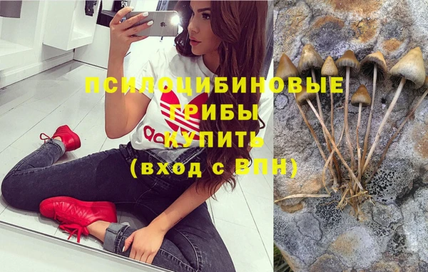 героин Абаза